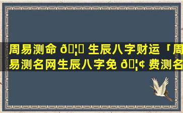 周易测命 🦄 生辰八字财运「周易测名网生辰八字免 🦢 费测名」